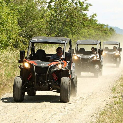 Activités à proximité du camping le Château, Hauterives le palais du Facteur Cheval