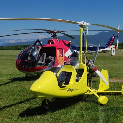 Activités à proximité du camping le Chateau, Hauterives le palais du facteur cheval