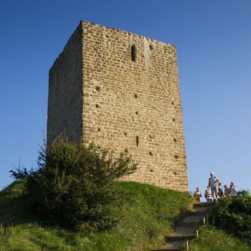 Activités à proximité du camping le Chateau, Hauterives le palais du facteur cheval