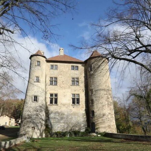 Activités à proximité du camping le Château, Hauterives le palais du Facteur Cheval