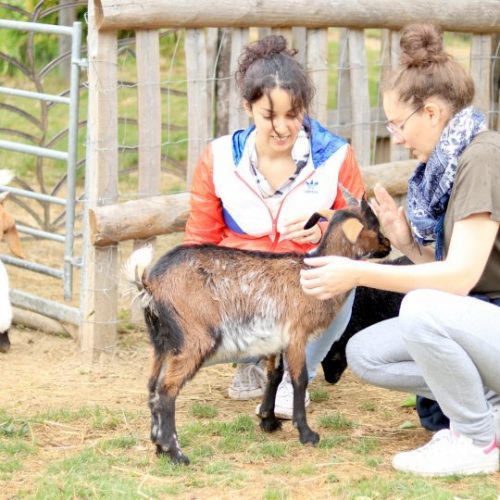 Activités à proximité du camping le Château, Hauterives le palais du Facteur Cheval