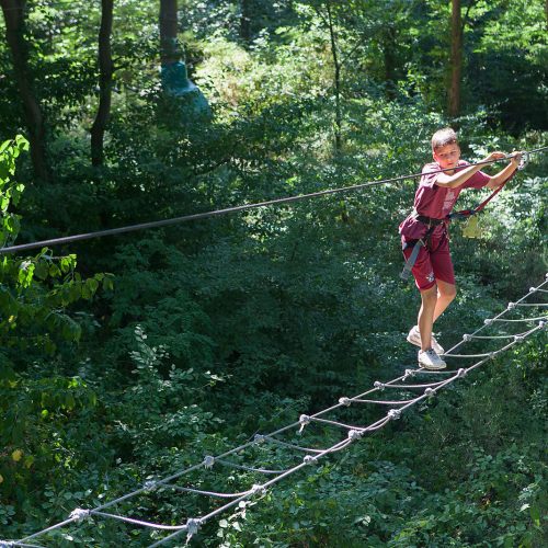 Activités à proximité du camping le Château, Hauterives le palais du Facteur Cheval